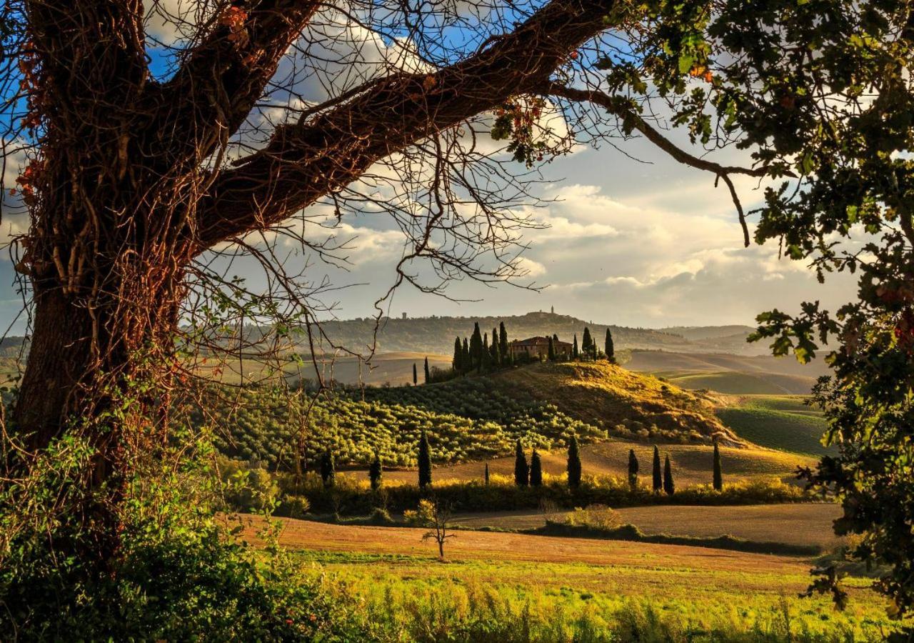 15 Min Da Montepulciano - Villa Chiara Montefollonico Exterior foto